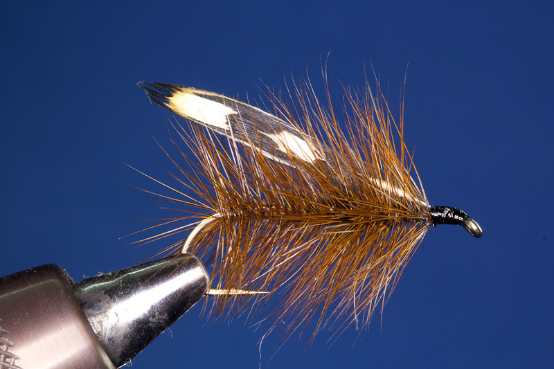 Holland Palmer 1