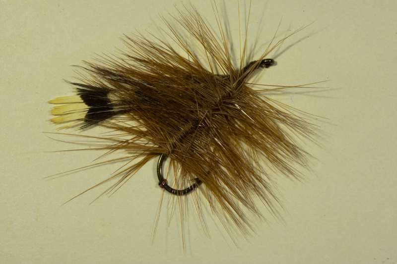 Holland Palmer 1