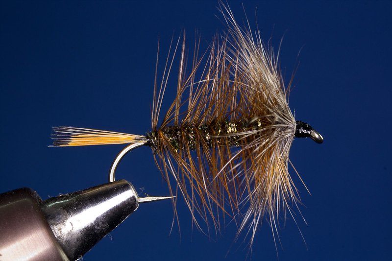 Holland Palmer 2