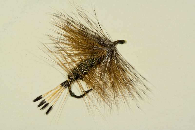 Holland Palmer 2