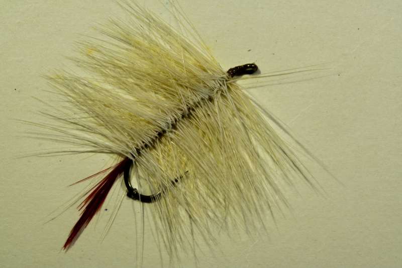 Holland Palmer 3