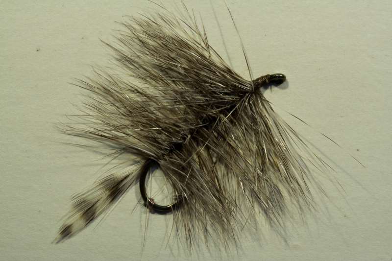 Holland Palmer 5