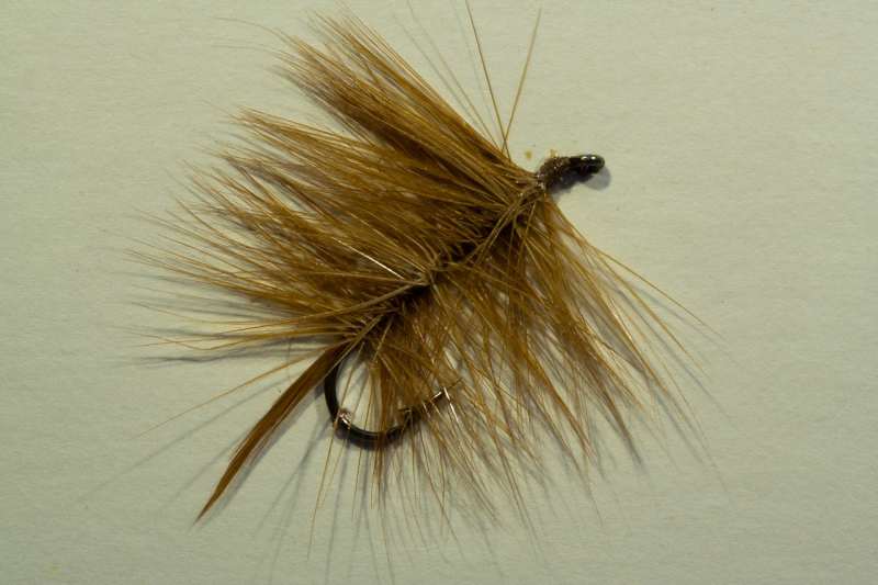 Holland Palmer 6