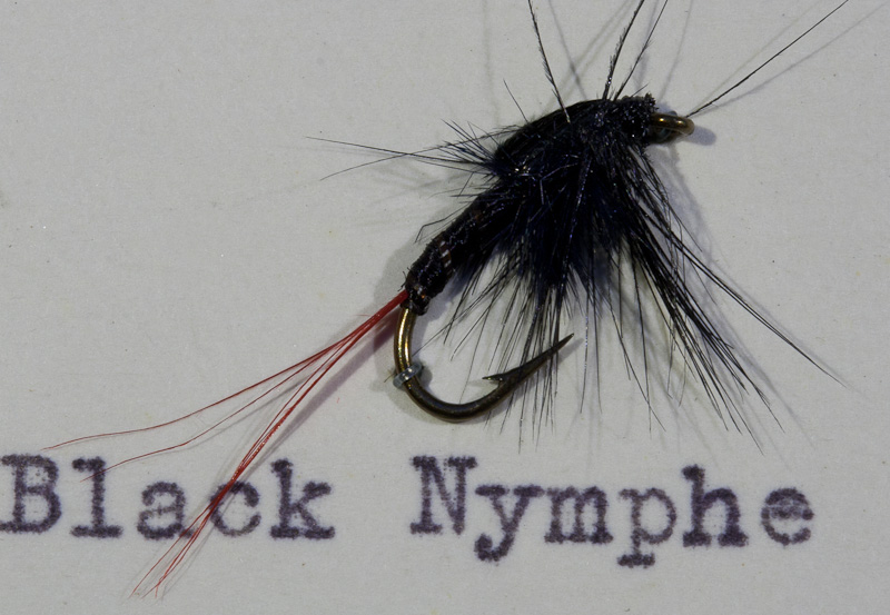 Black Nymph - Schwarze Nymphe