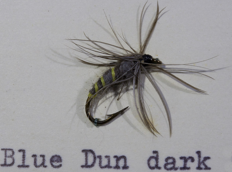 Blue Dun Dark