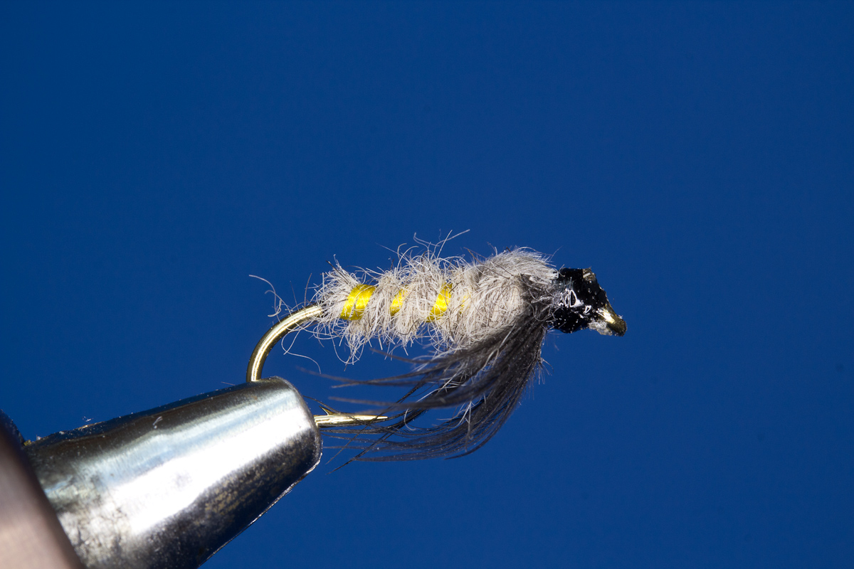 Blue Dun Dark Nymph