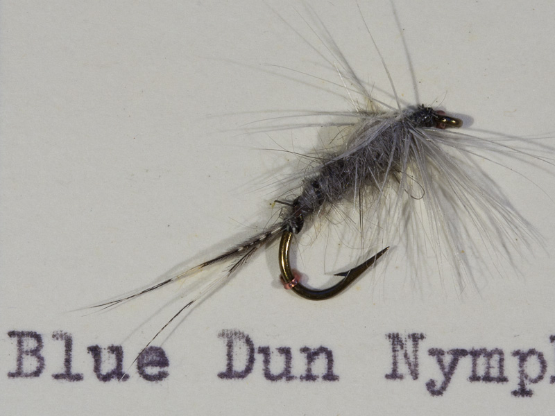 Blue Dun Nymphe