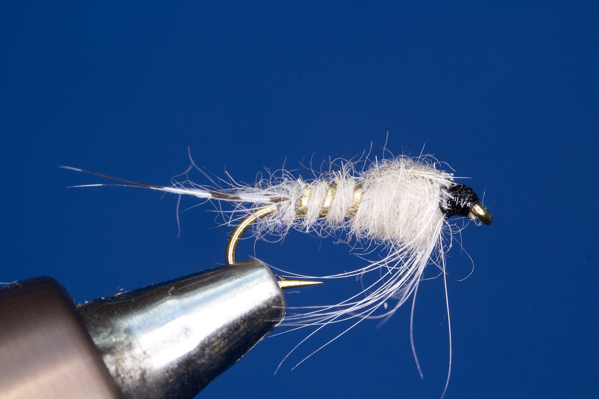 Blue Dun Nymph