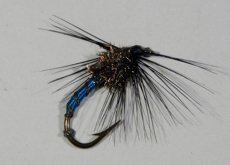 Cairns Nymphe