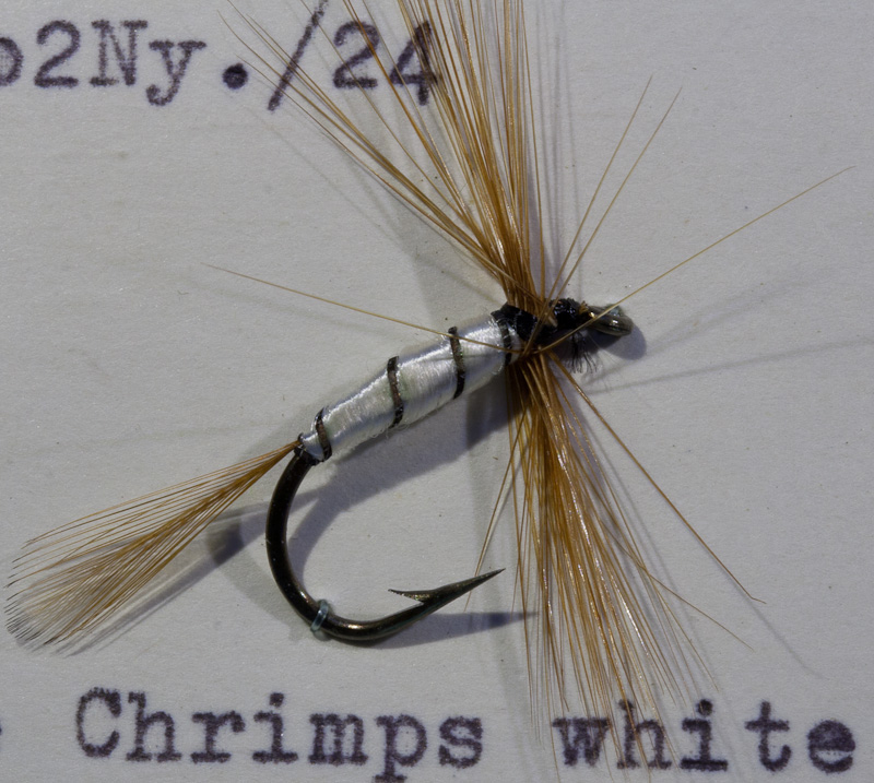 Chrimps wei�