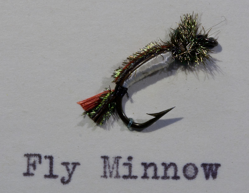 Fly Minnow