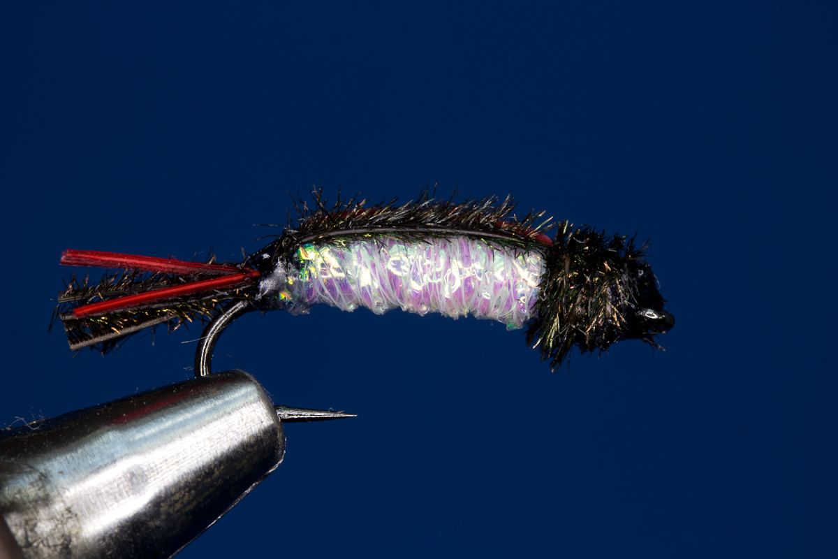 Fly Minnow