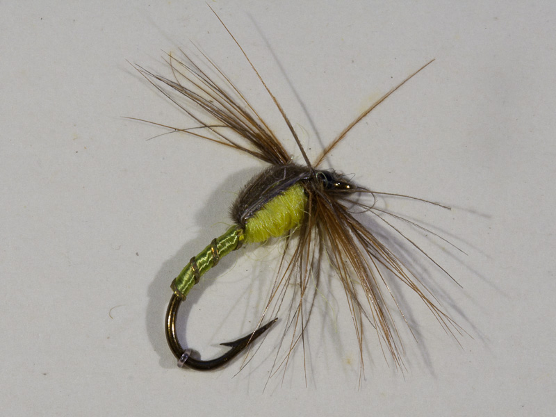 Greenwell's Nymphe