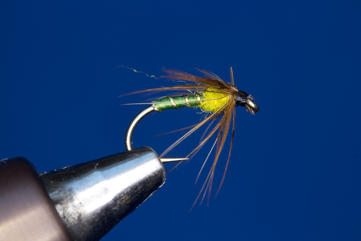 Greenwell's Nymph