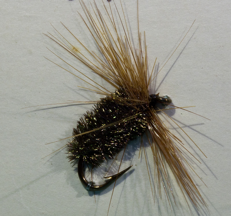 Braune Gr�nefeld Nymphe
