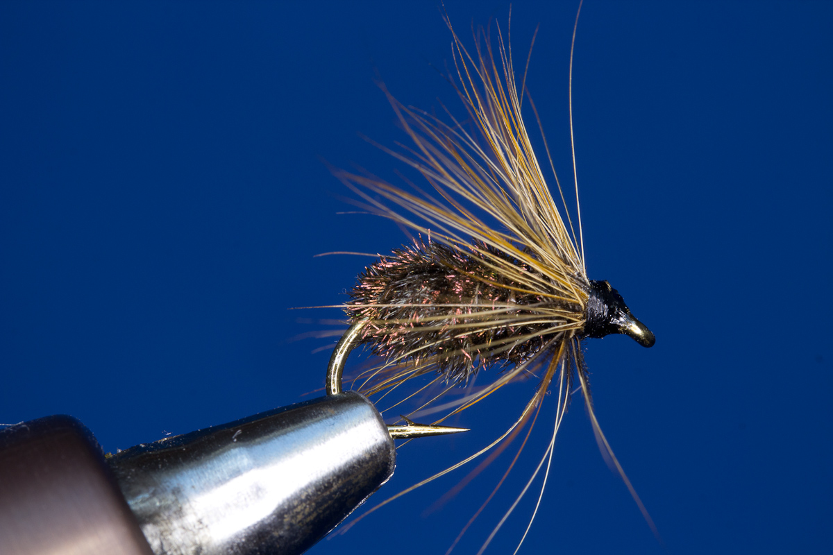 Braune Gr�nefeld Nymphe