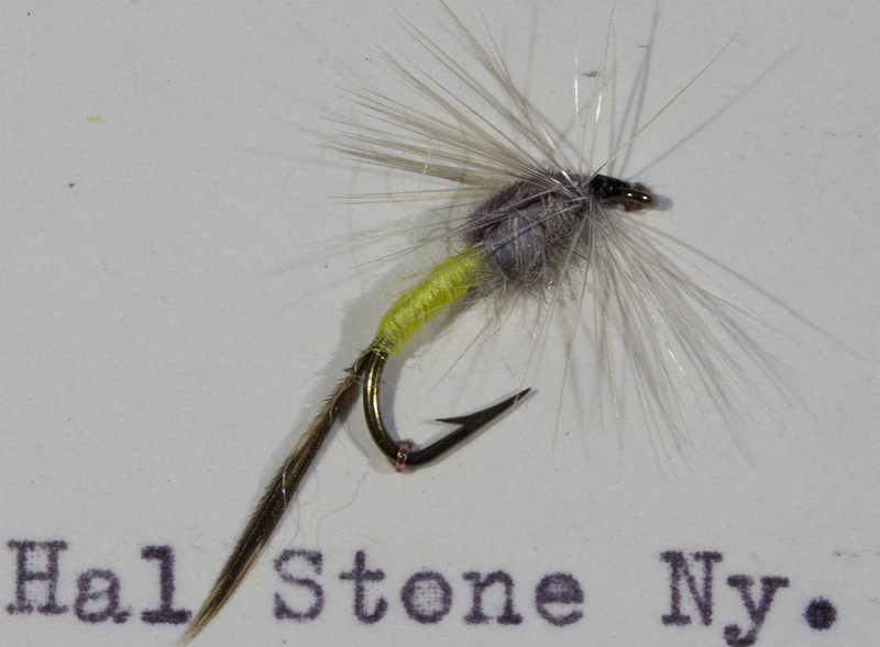 Half Stone Nymph