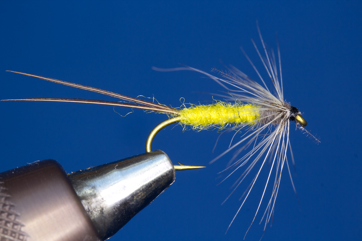 Hal Stone Nymph