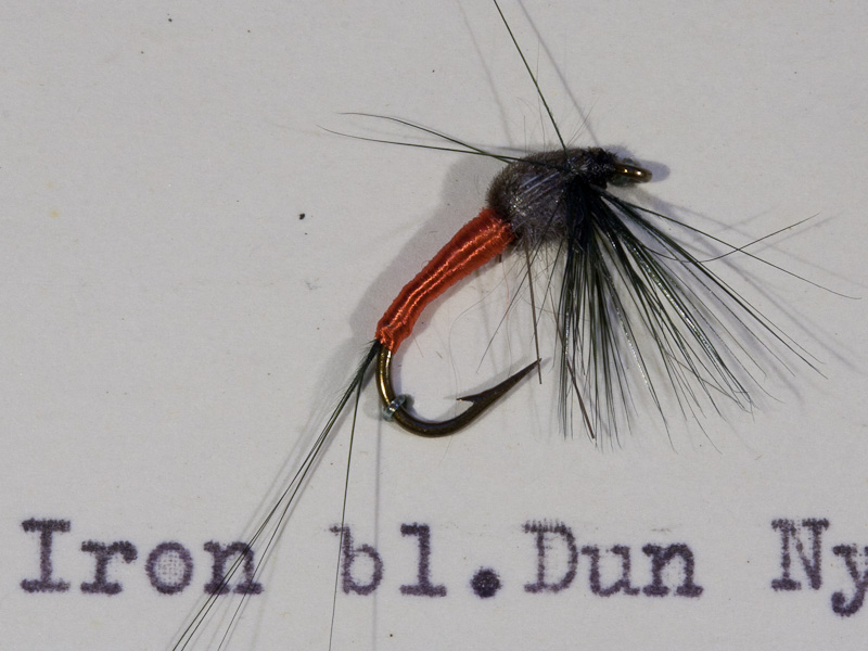 Iron Blue Dun Nymphe