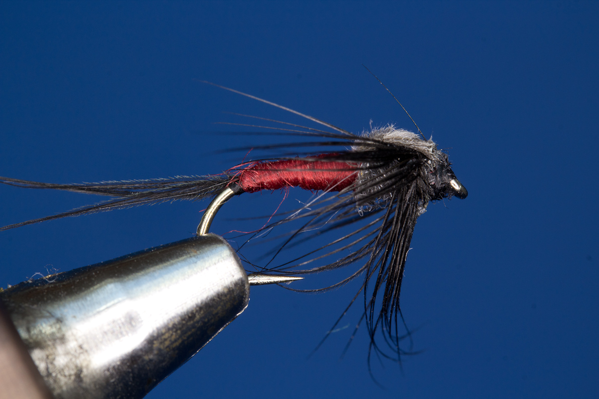 Iron Blue Dun