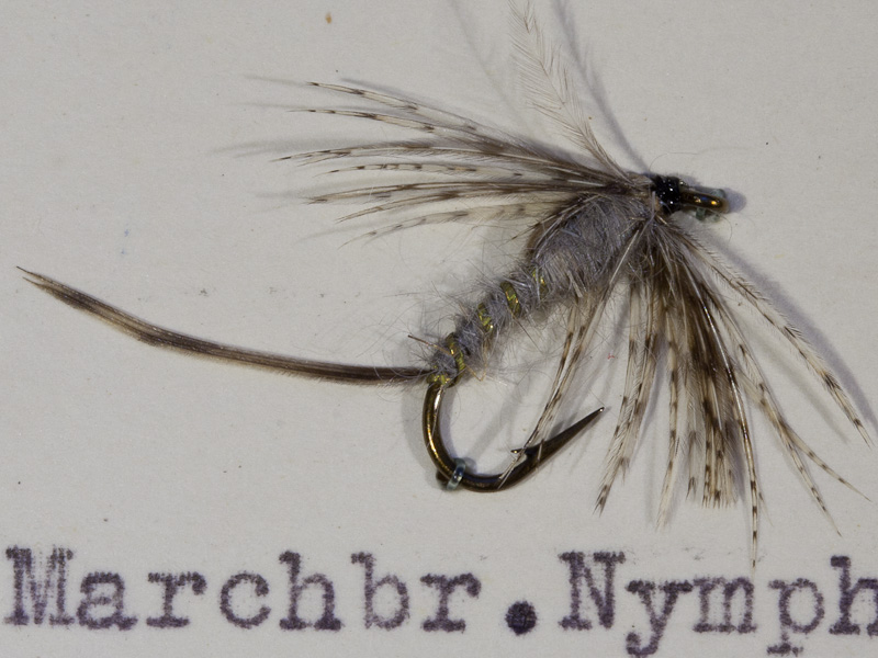 Marchbrown Nymphe