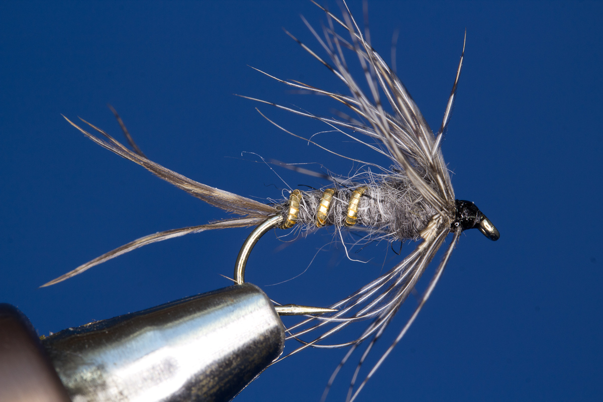 Marchbrown Nymph