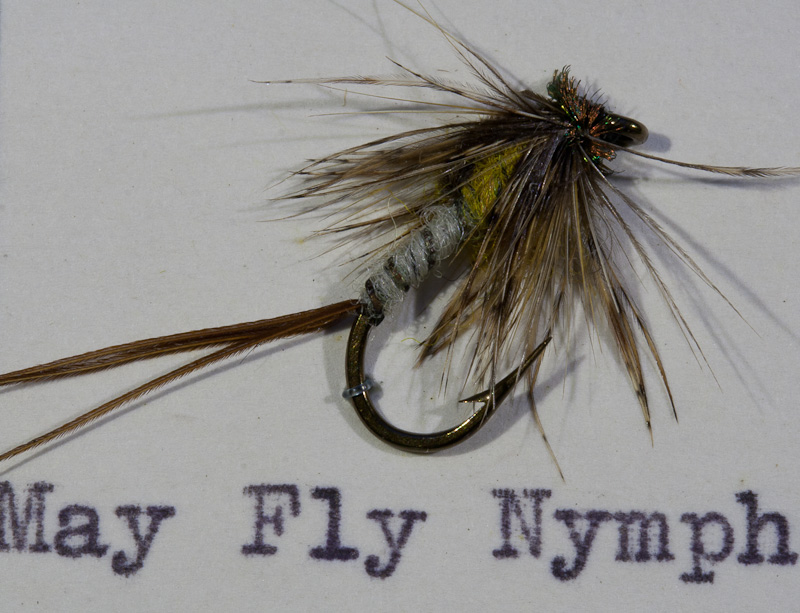 May Fly Nymph - Maifliegennymphe