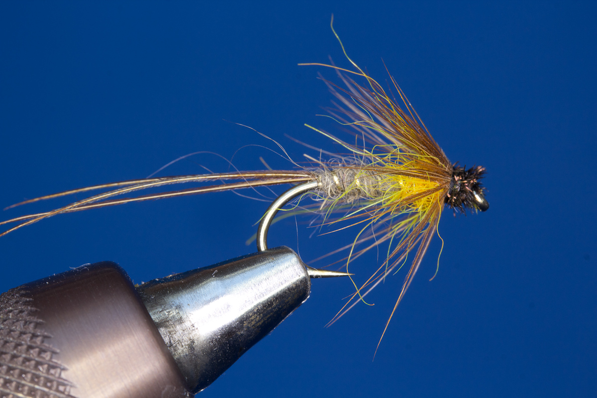 Mayfly Nymph