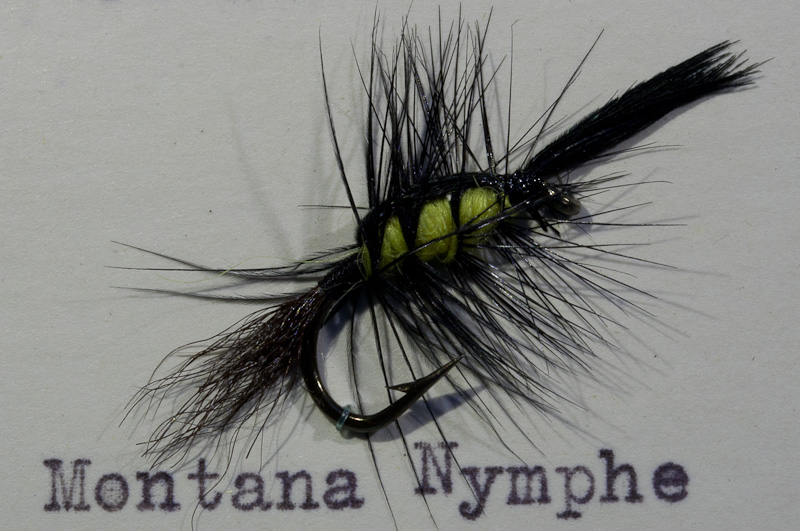 Montana Nymphe