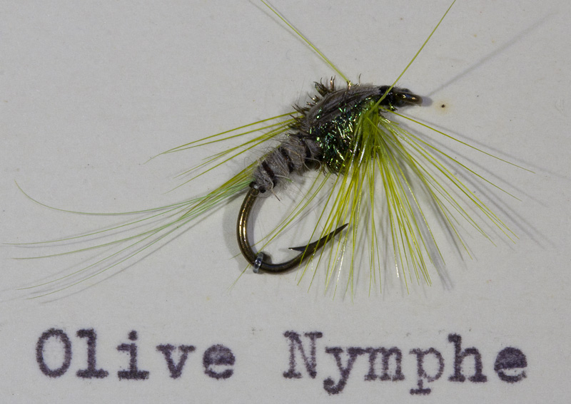 Olive Nymphe