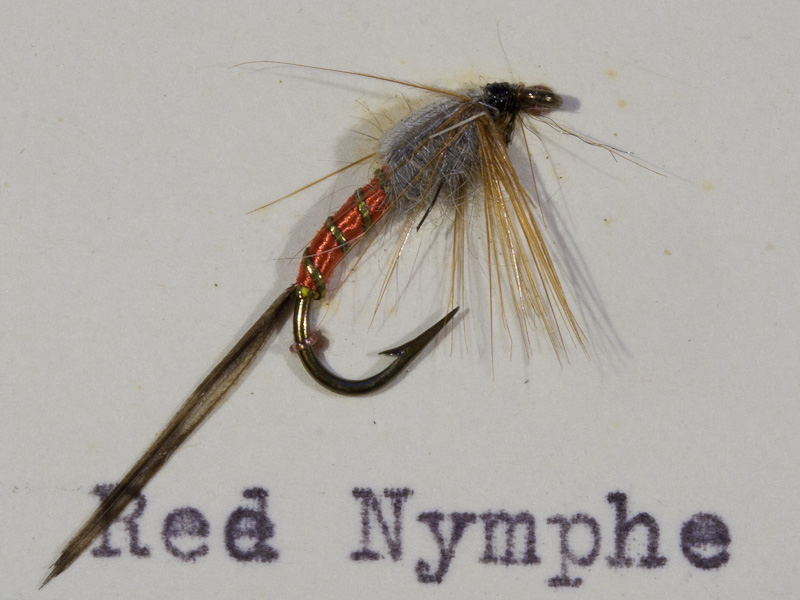 Red Nymphe