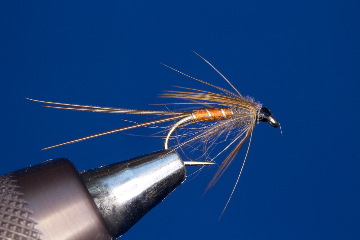 Red Nymph
