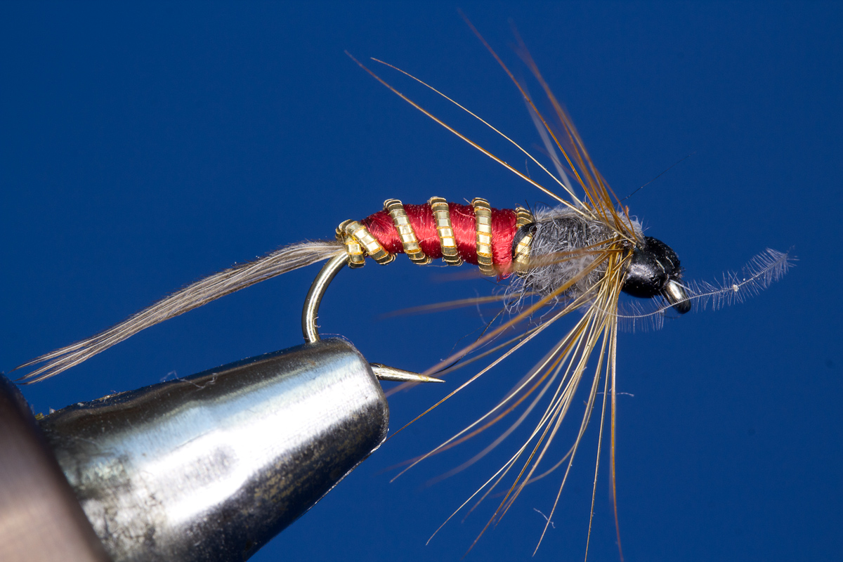 Red Nymph