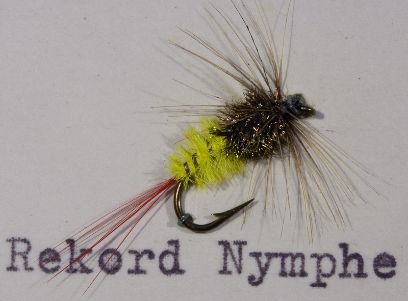 Rekord Nymphe