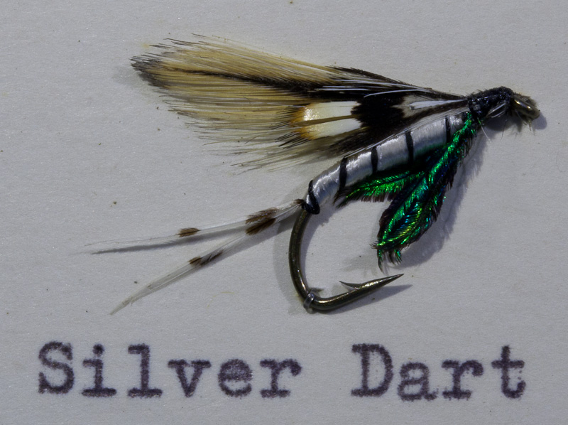 Silver Dart - Silberpfeil