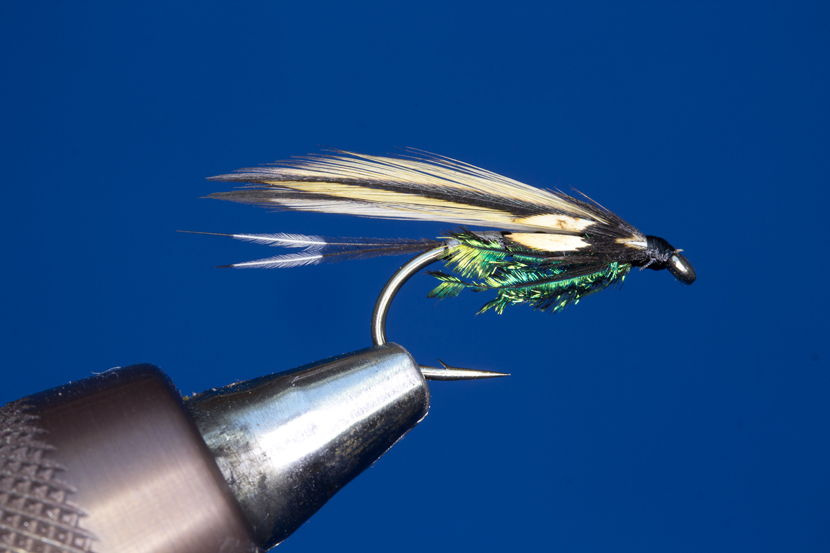 Silver Dart