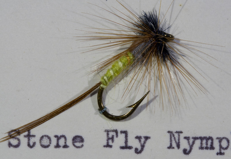 Stone Fly Nymph