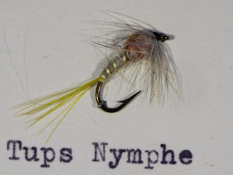 Bavaria Tups Nymphe
