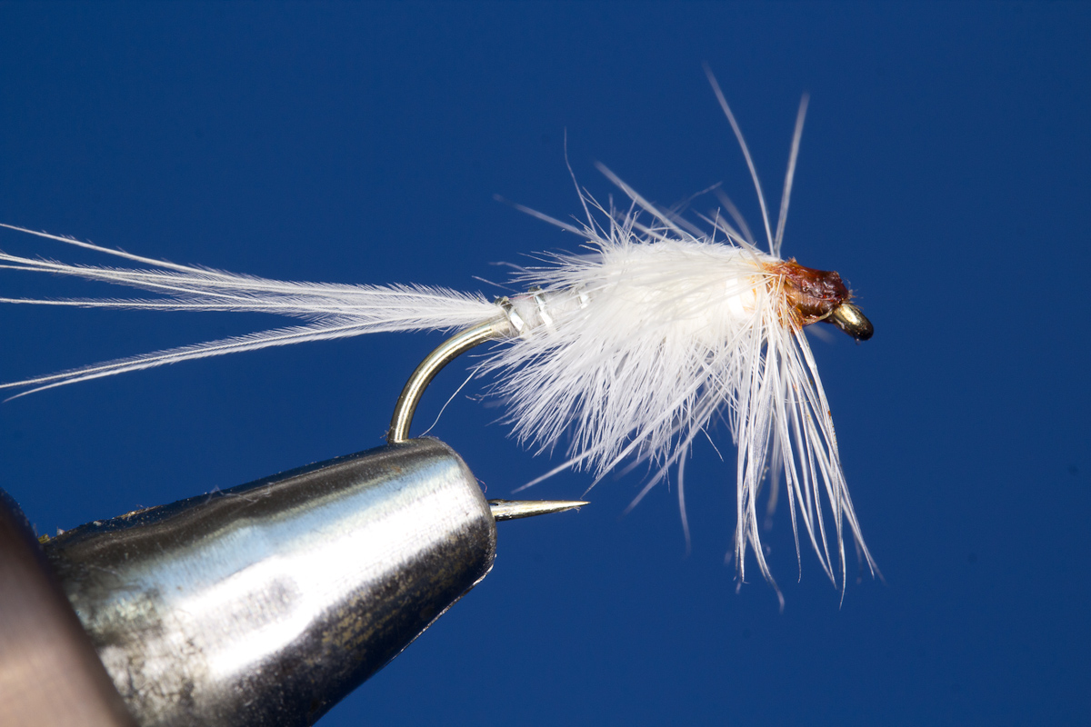 White Nymph