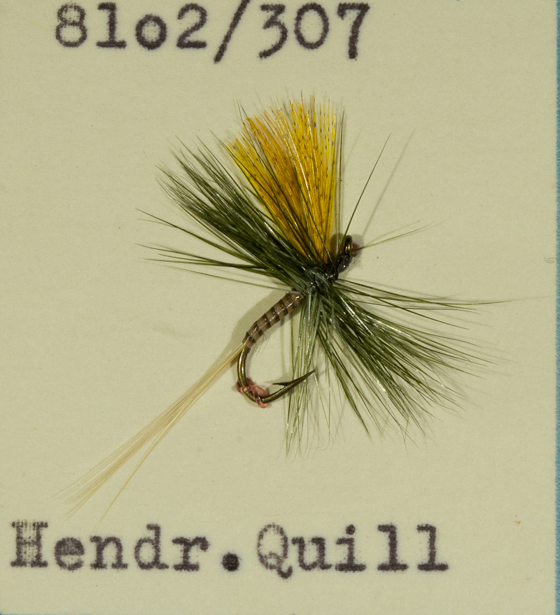 Hendrickson Quill