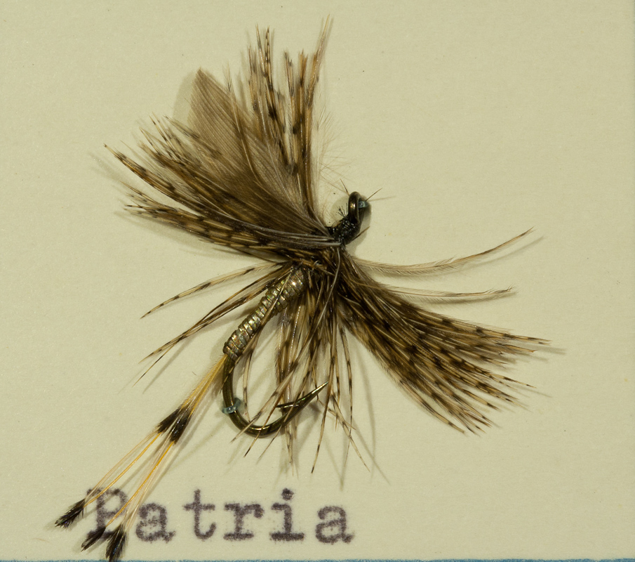 Patria Rebhuhn