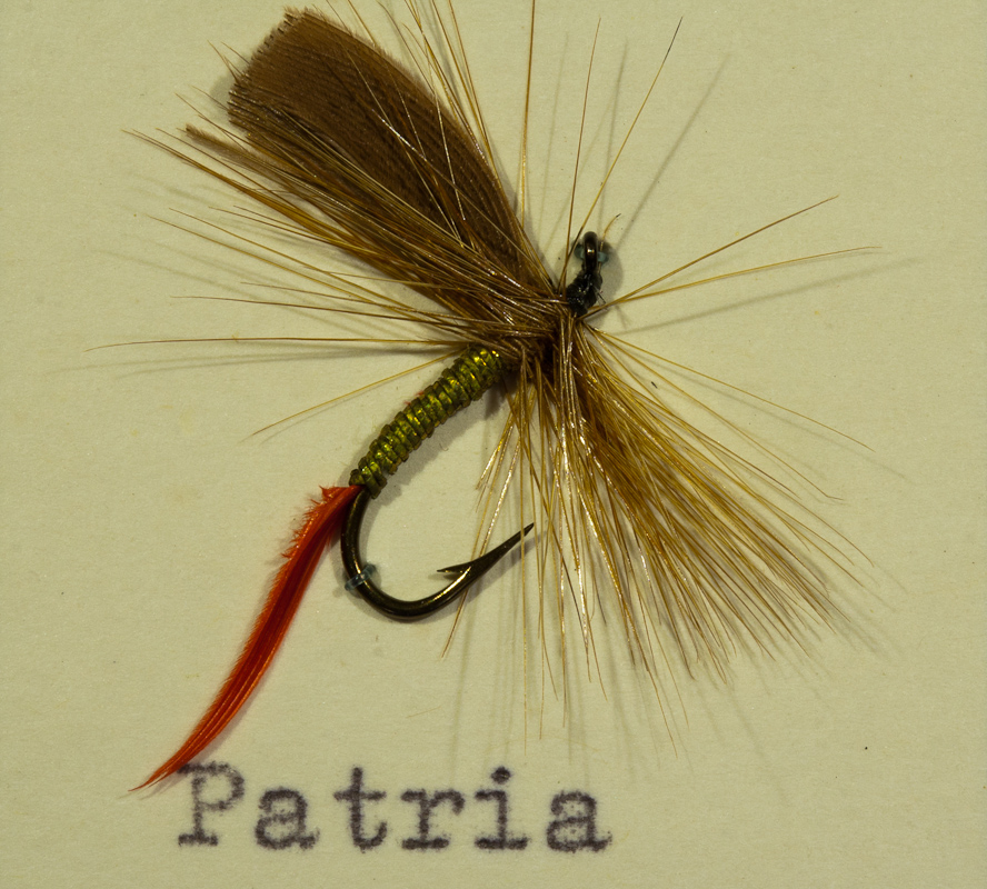 Patria gold/braun