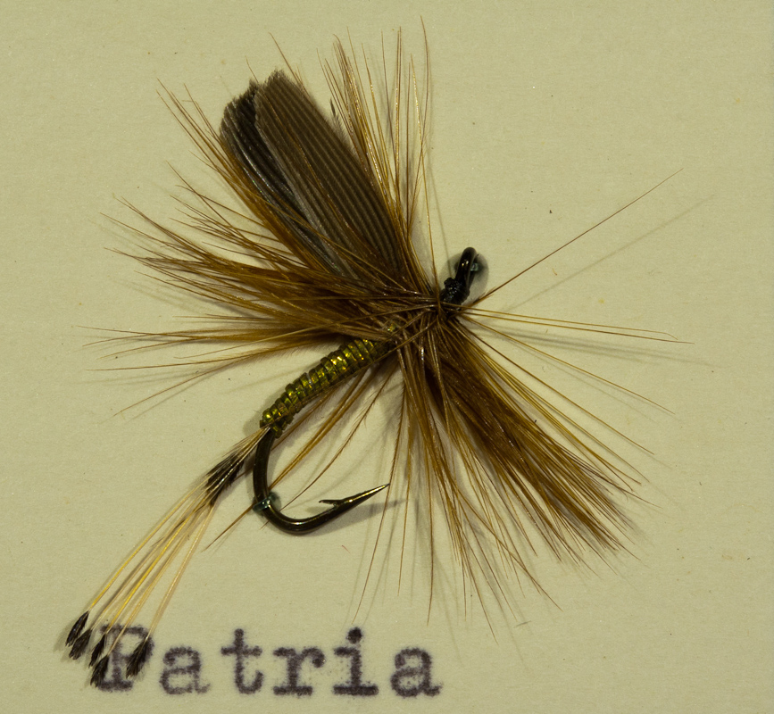 Patria Gold/Braun