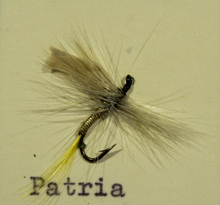 Patria Silber/Grau