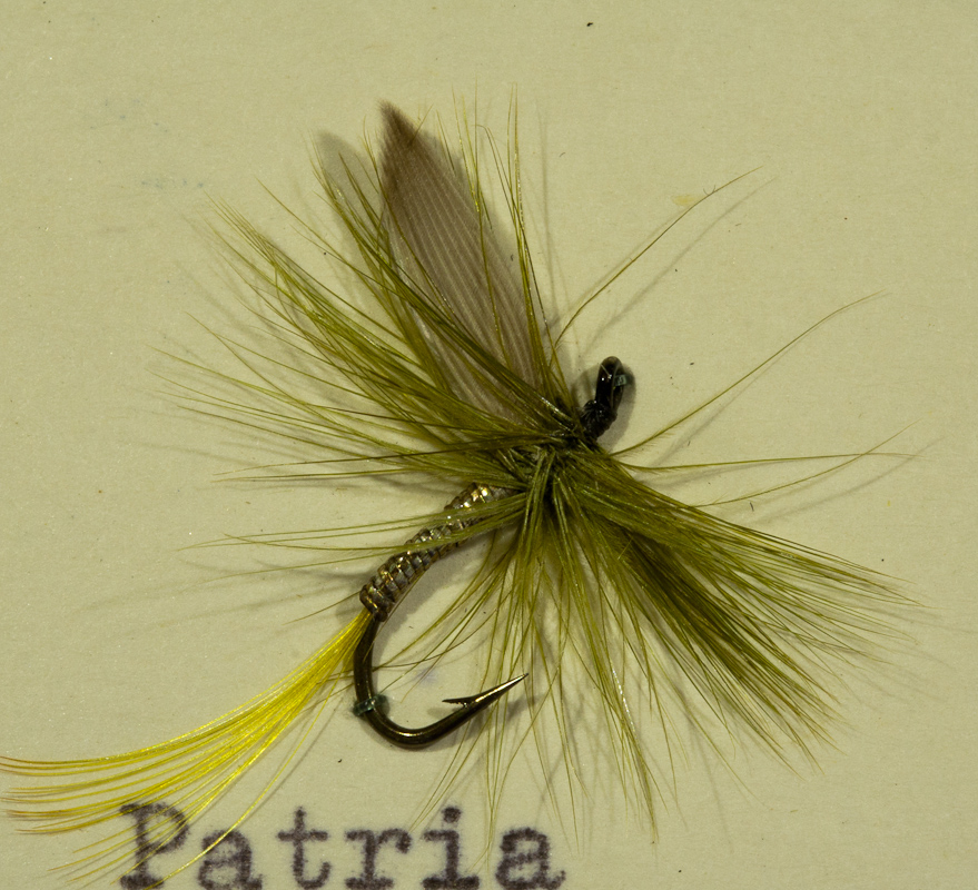 Patria Silber/Oliv