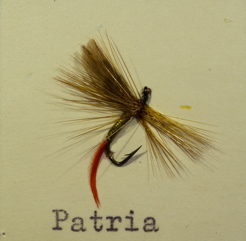 Patria Gold/Ginger