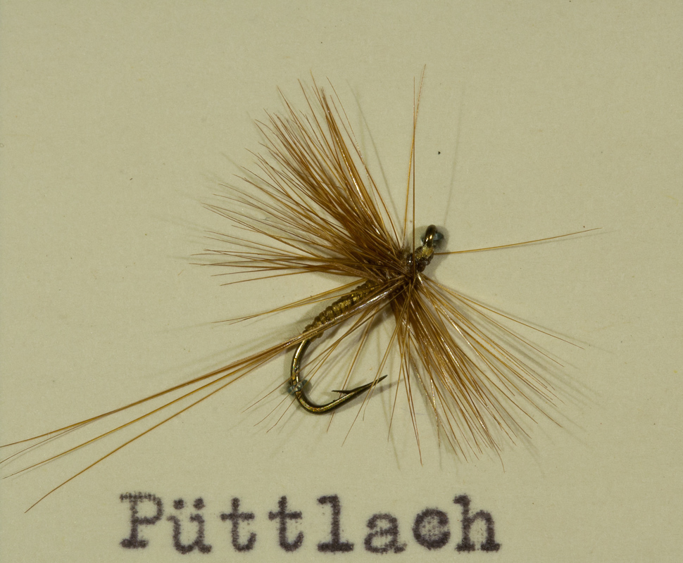 P�ttlach Braunoliv/Ginger