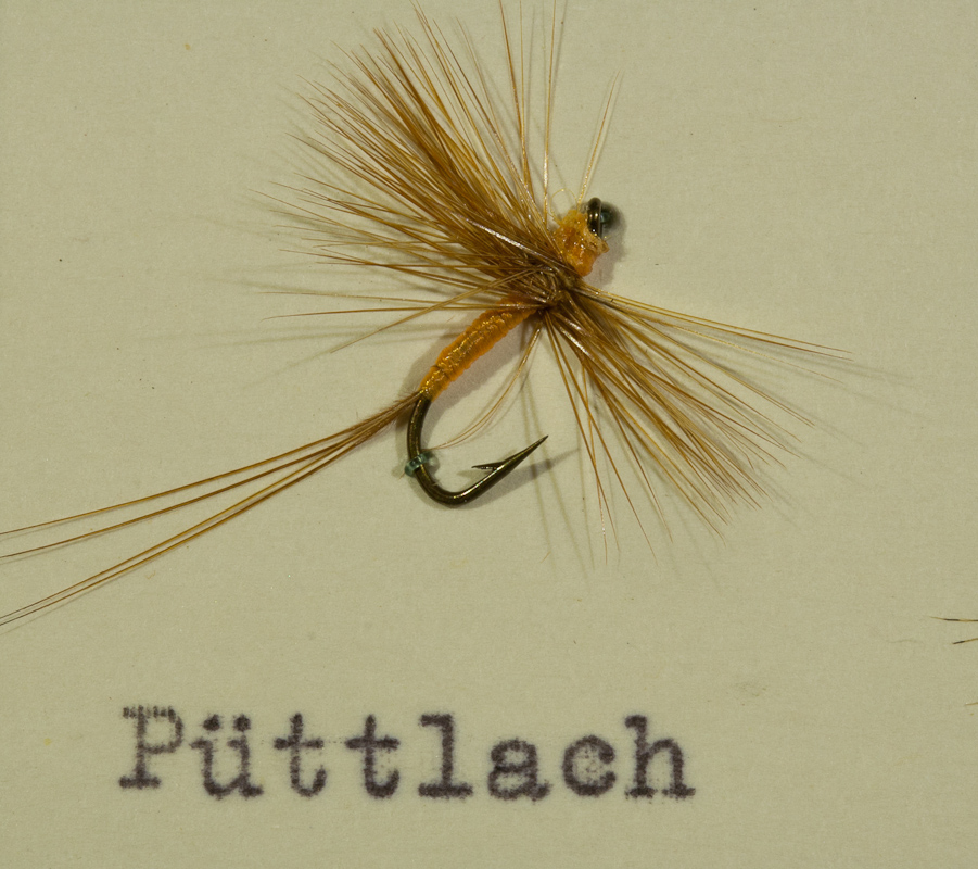 P�ttlach Gelborange/Ginger