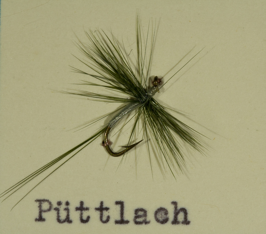 P�ttlach grau/dunkeloliv
