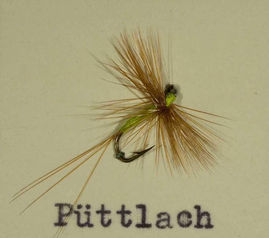 P�ttlach chartreuse braun